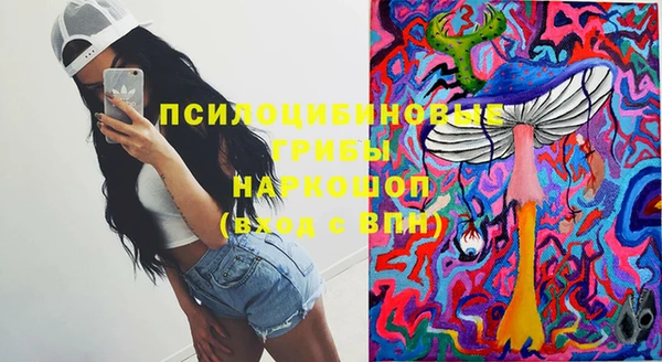 дурь Лабытнанги