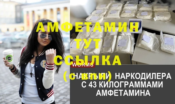 крисы Липки