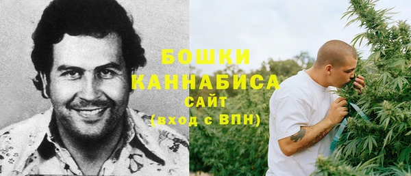 крисы Липки