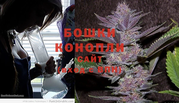 гашик Лагань